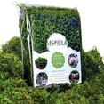 thumbnail image 1 of Musgo artificial artificial Usmola Craft Moss 225 g para decoración, 1 of 7