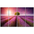 thumbnail image 2 of Purple Sky over Stunning Lavender Field - Floral Canvas Art Print, 2 of 3
