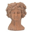 thumbnail image 2 of 8" X 9" Brown Greek Bust Planter, Cement Head Planter for Indoor & Outdoor Decor, 2 of 15