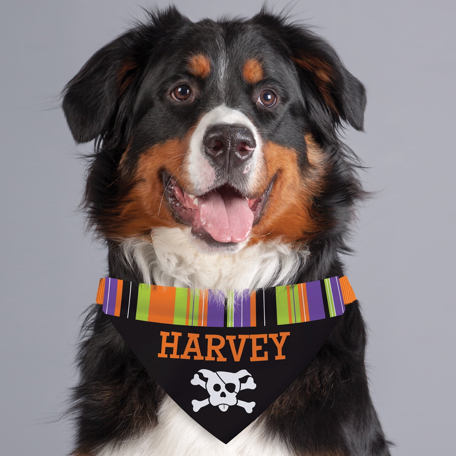 Halloween Theme Personalized Dog Bandana Collar Cover