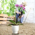 thumbnail image 4 of 6pcs Orchid Succulent Special Bracket Plant Pot Plant Flower Modeling Support Pole Fixed Fall Leaf Protection Frame, 4 of 9