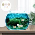 thumbnail image 3 of 5 UNIDS Adornos de erizo de mar Adornos artesanales hechos a mano DIY Crafts Fish Tank Decors, 3 of 6