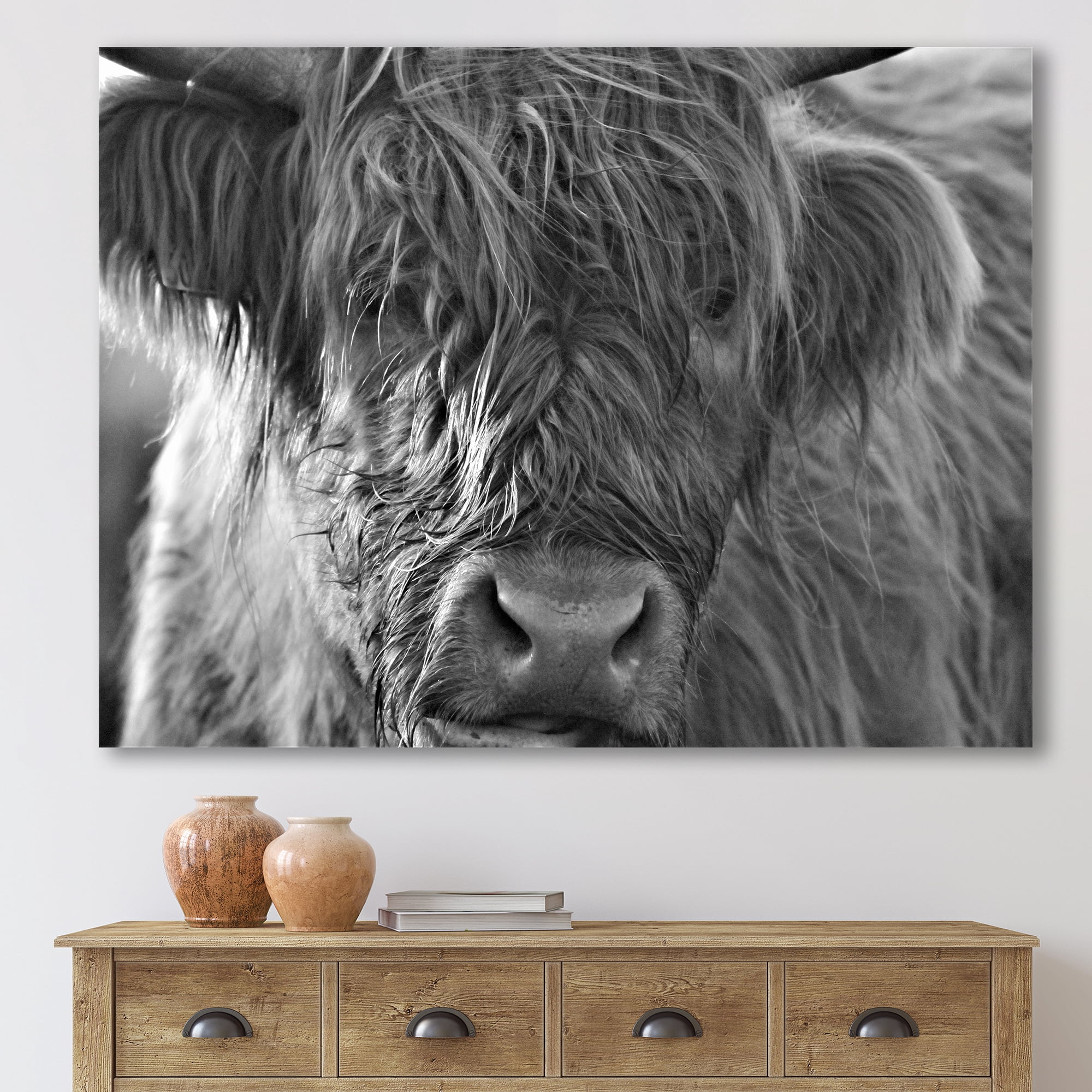 Designart ' Close Up Scottish Highland Cows Living On Moorland ' Farmhouse Canvas Wall Art Print