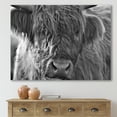 thumbnail image 2 of Designart ' Close Up Scottish Highland Cows Living On Moorland ' Farmhouse Canvas Wall Art Print, 2 of 4