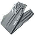 thumbnail image 1 of Pantalon de Performance Polyvalent pour Hommes pour l'Extérieur avec Tissu et Design Moderne, 1 of 3