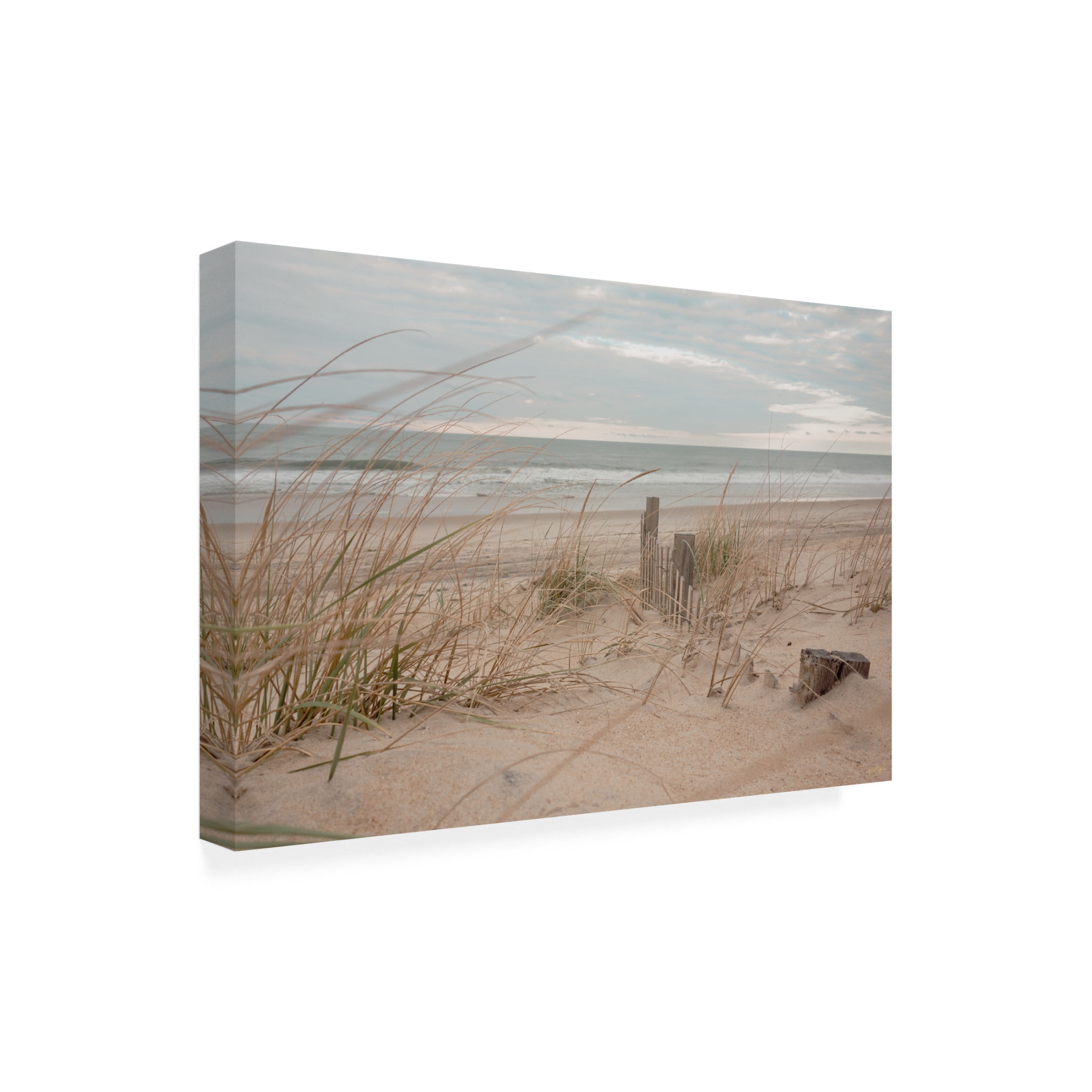 Canvas Wall Art - Life BeautifuLEE 'The Secret Morning Beach' Wall Art for Living Room, Bedroom, or Office Décor by Trademark Fine Art - 32 x 22 Inches