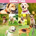 thumbnail image 7 of Reflective Nylon Dog Collars 2pcs,with Quick Release Buckle,Adjustable Safety Nylon Collars for Small Medium Large Dogs, 7 of 7
