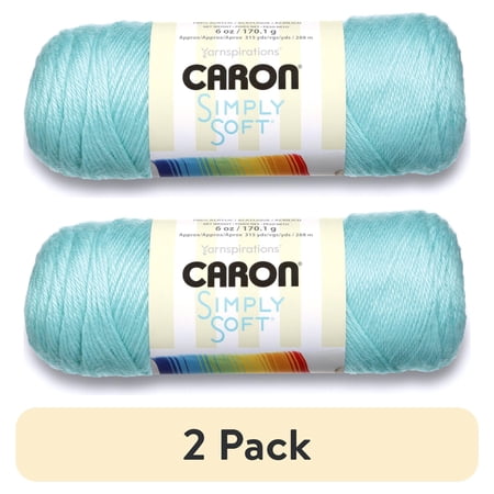(2 pack) Caron Simply Soft Medium Acrylic Robins Egg Yarn, 315 yd
