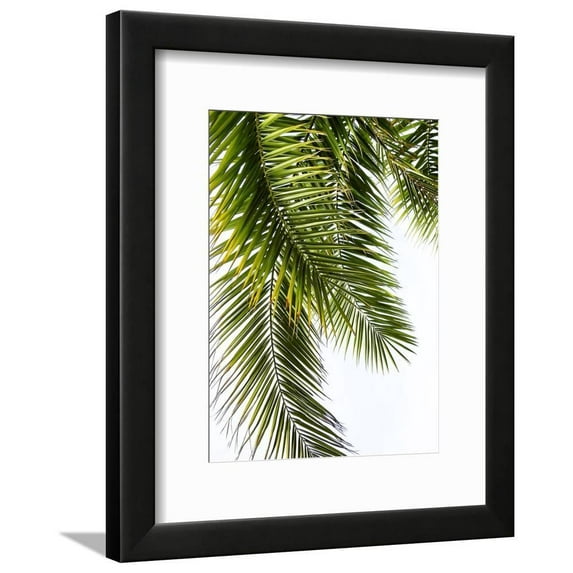 Palm Leaves, Botanical Framed Art Print Wall Art by Lexie Greer Sold by Art.Com
