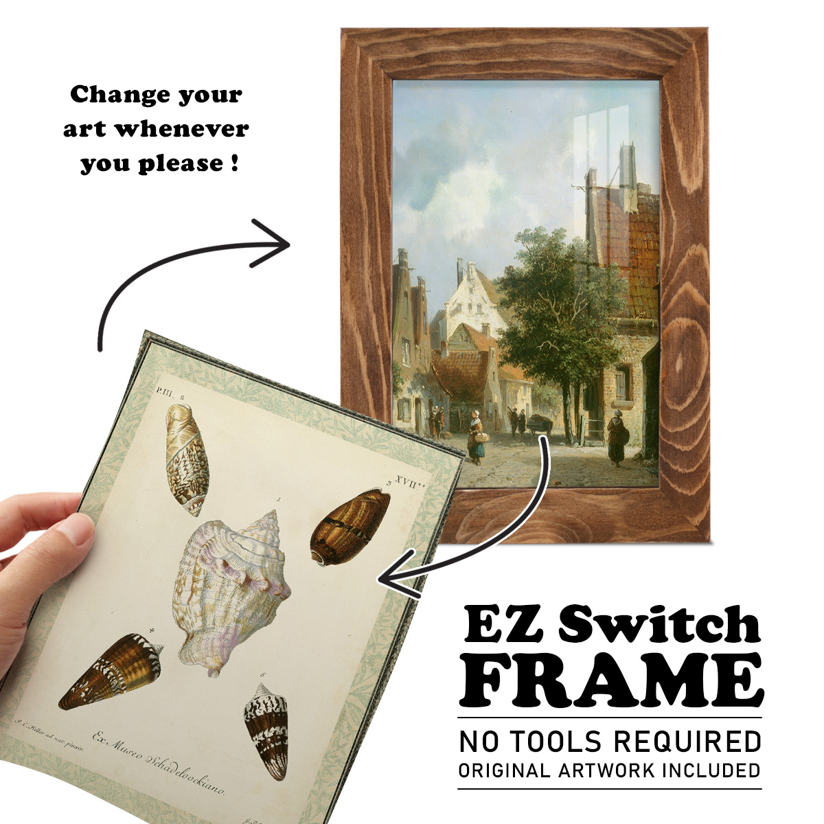 Bookplate Shells IV - Framed Print w/glass - Walnut