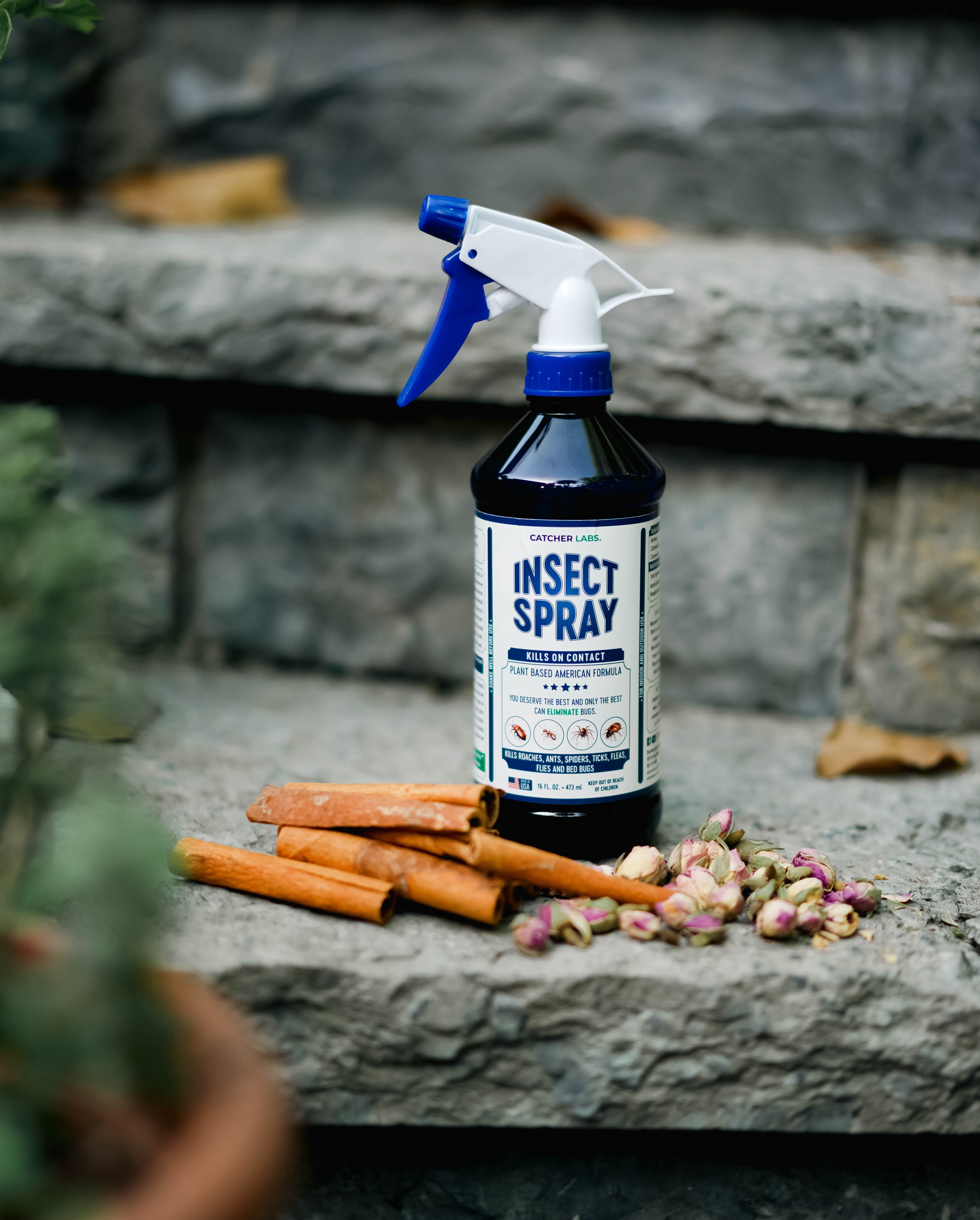 Catcher Labs Natural Insect Spray for Indoor and Outdoor Use | Ant, Roach,  Spider, Fly, Flea, Bed Bug Killer and Insect Repellent