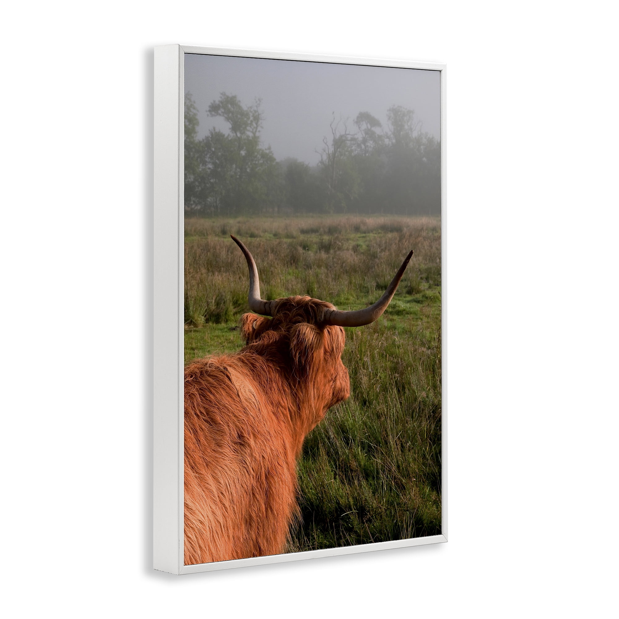 Highland Cow Gazing Out White Framed Giclee Art, design by Jenny Rainbow Fine Art