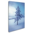 thumbnail image 2 of Trademark Fine Art 'Cold Blue' Canvas Art by Philippe Sainte-Laudy, 2 of 3