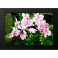 thumbnail image 2 of Hausenflock, Alan 14x11 Black Modern Framed Museum Art Print Titled - Pink Surprise II, 2 of 5