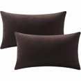 thumbnail image 1 of HAYANDecorative Pillow Cases 12x20 Chocolate Brown: 2 Pack Cozy Soft Velvet Rectangular Throw Pillow Covers for Farmhouse Home Decor, 1 of 1