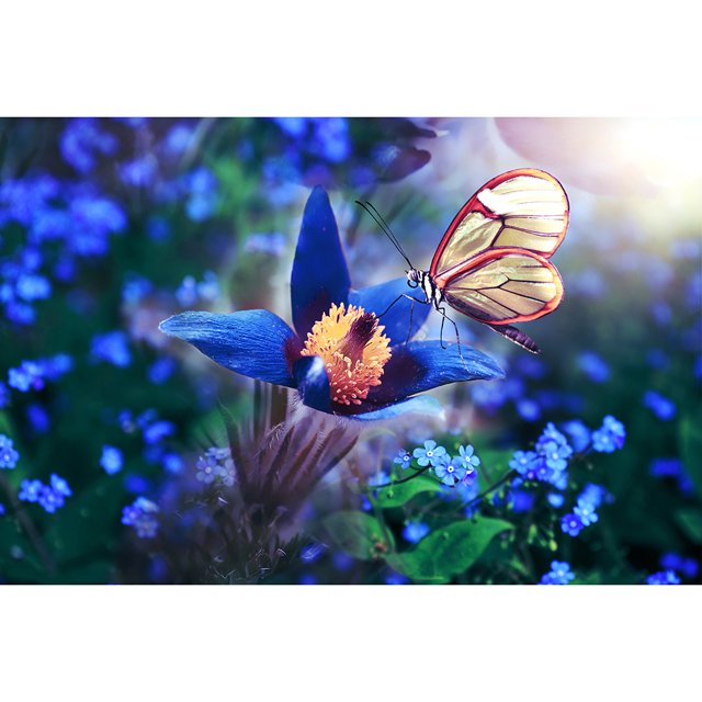 Cuadros Decorativos Rompecabezas de papel DIY de 1000 piezas bonita imagen de mariposa juguete educativo para niños Tmvgtek embutido en tela