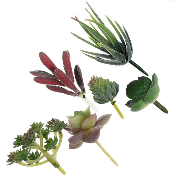CHICHUMID Simulate Succulents Assorted Colors PVC for Living Room Decor 6Pcs