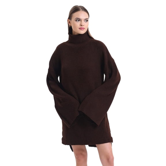 Knitted Turtleneck Long Sleeve Mini Oversized Dress