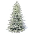 thumbnail image 1 of Holiday Stuff Company 5 Foot Prelit Snow Angel Blue Spruce Flocked Tree, 1 of 8