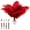 Red, variant on Piokio 40pcs Natural Black Ostrich Feathers 10-12 inch (25-30cm) Bulk Feathers for Wedding Party Centerpieces, Home Decoration and DIY Clothing, Gatsby Decorations