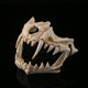 thumbnail image 3 of Máscara de Halloween Resina Media cara Cráneo blanco Máscara de miedo Tigre Dragón Dios Máscara de cosplay Máscara decorativa Máscara de terror Juego de roles para adultos Zhivalor  WXOTTO-CWY-0329, 3 of 5
