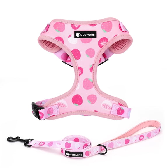 Dog Harness and Leash Set, Adjustable Dog Harness, Dog Leash, No Pull No Choke Puppy Harnesses for Walking Training for Small Medium Pet (Strawberries, S(Chest 13-19", Neck 9.5-13.1"))