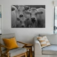 thumbnail image 6 of Cow Black And White Veal Animal Themes Looking At Camera Canvas Art Poster And Wall Art Picture Print Modern Family Bedroom Decor Posters,Unframe-style,12x18inch(30x45cm), 6 of 8