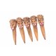 thumbnail image 3 of Cubierta de dedo de simulación de Halloween, cara de bruja, uñas, accesorios para disfraces, maquillaje, decoración para fiestas, tipo 1 5 Piezas seitruly HA000181-01B, 3 of 6