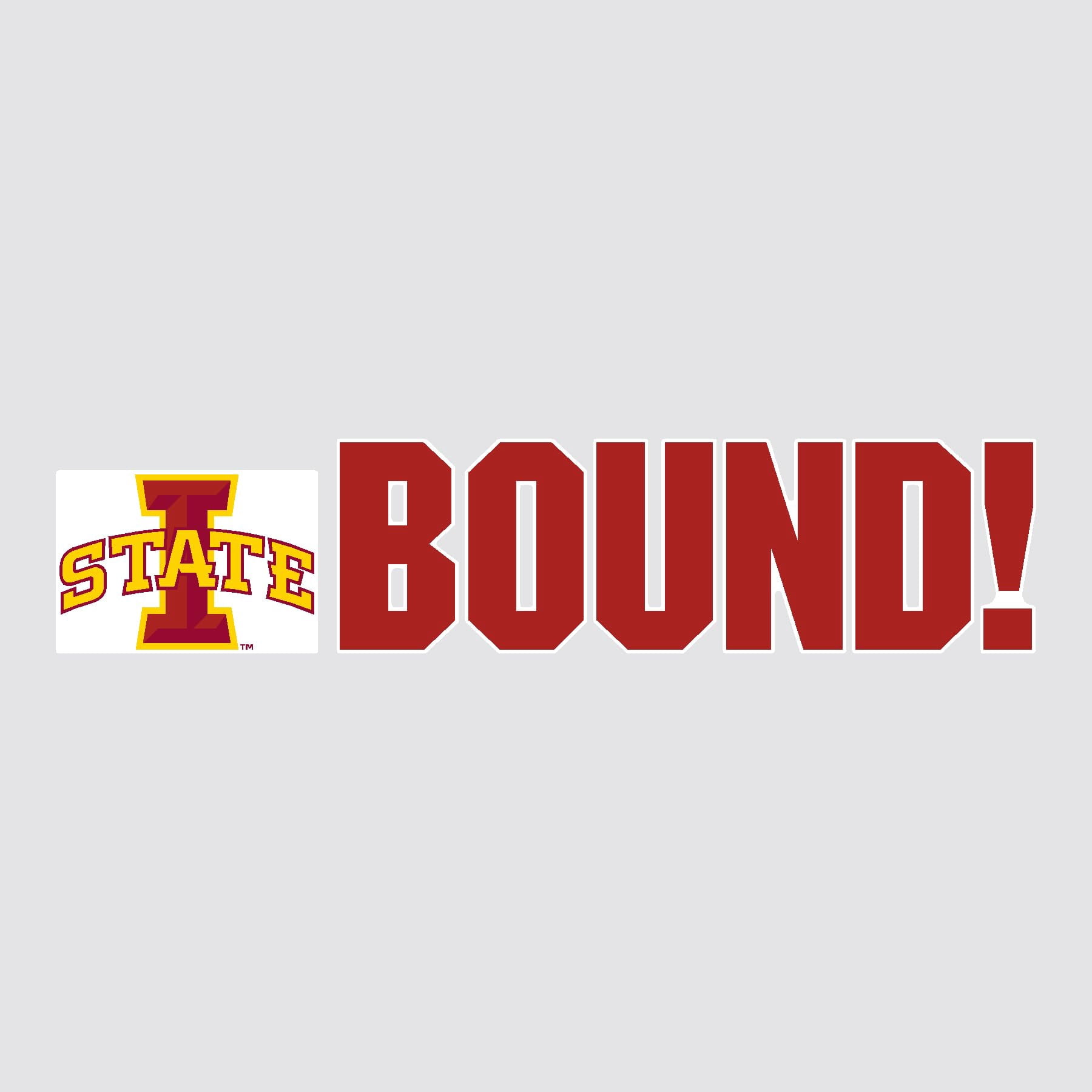 Color Shock Products School BOUND Mascot Yard Sign Set compatible with Iowa State University