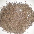 thumbnail image 3 of Butter Crunch Heirloom Lettuce Seeds, 3 of 5