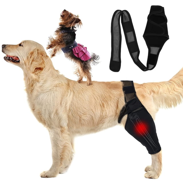 Dog Elbow Protector Pads, Brace Short Pants Recovery Sleeve Soft Padded Relieve Arthritis Reducing Pain Provides Support For Small Medium Dogs