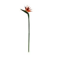 thumbnail image 1 of 1 flor artificial de ave del paraíso de plástico para decoración del hogar (naranja), 1 of 5