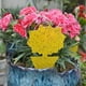 thumbnail image 5 of 50 Pcs Yellow Sticky Fly S Plug-in Fly Sticker Fly Plant, 5 of 5