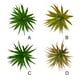 thumbnail image 4 of Billuyoard Planta suculenta simulada duradera, flores artificiales de plástico para una belleza duradera, suculenta de castaña de agua simulada Decoración Hoja de espada grande Otoño, 4 of 6