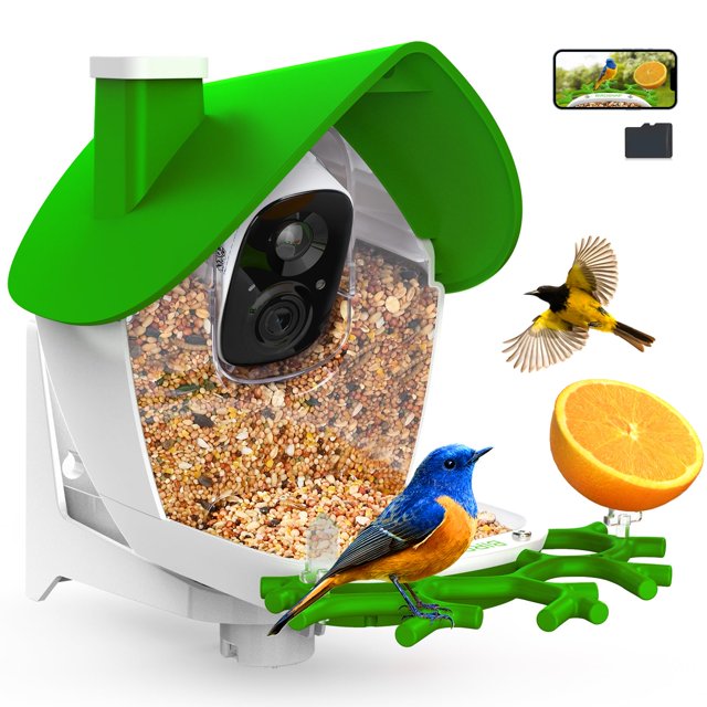 Comedero para pájaros con cámara birdsnap® MON 2K, tarjeta de vídeo de 32 GB