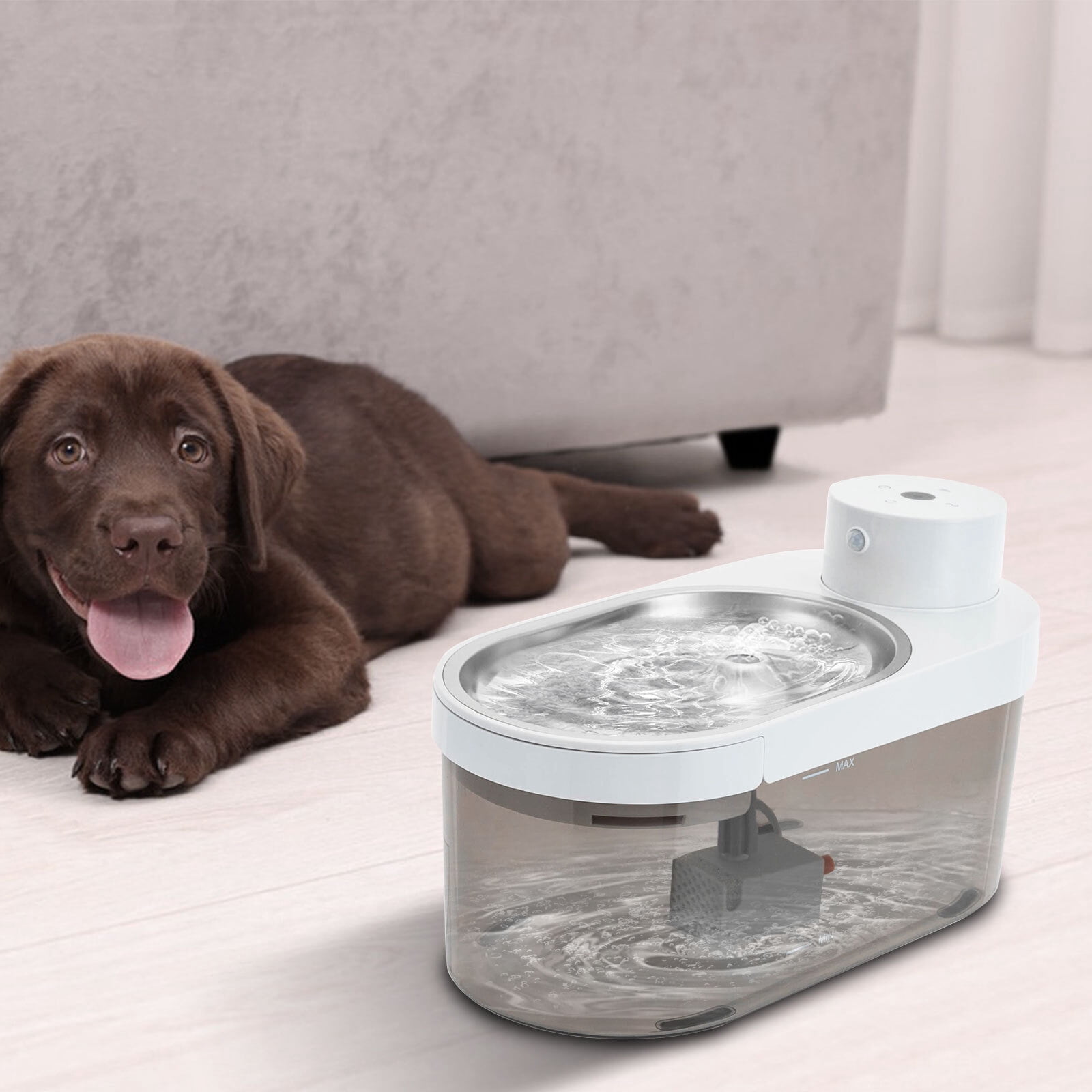 Cat Water Fountain Freestanding Pet Water Fountain Cat Drinking Fountain New