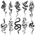 thumbnail image 2 of Etiqueta Engomada Del Tatuaje Animal Brazo 10pcs Impermeable para Hombres Y Mujeres, 2 of 9