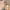 B#2152, variant on Christmas Clearance Xecvkr Revolutionary Black Eye Correction Concealer, 4g of Hydrating, Brightening Coverage for Dark Circles, Wrinkles, and Dark Spots - Easy-to-Use Wand Applicator for Awake and L