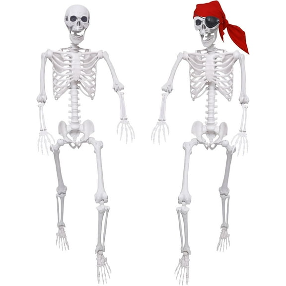 2 Pack 5.4Ft Halloween Skeletons Posable Skeletons Life Size Full Body Bones with Movable Joints for Halloween Decorations White