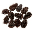thumbnail image 1 of 10pcs Pine Cones Baubles Hanging Christmas Festival ornament Pine Tree Holiday Decoration B 8-10CM, 1 of 7