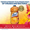 Lysol MultiSurface Cleaner, Sanitizing and Disinfecting Pour, to Clean