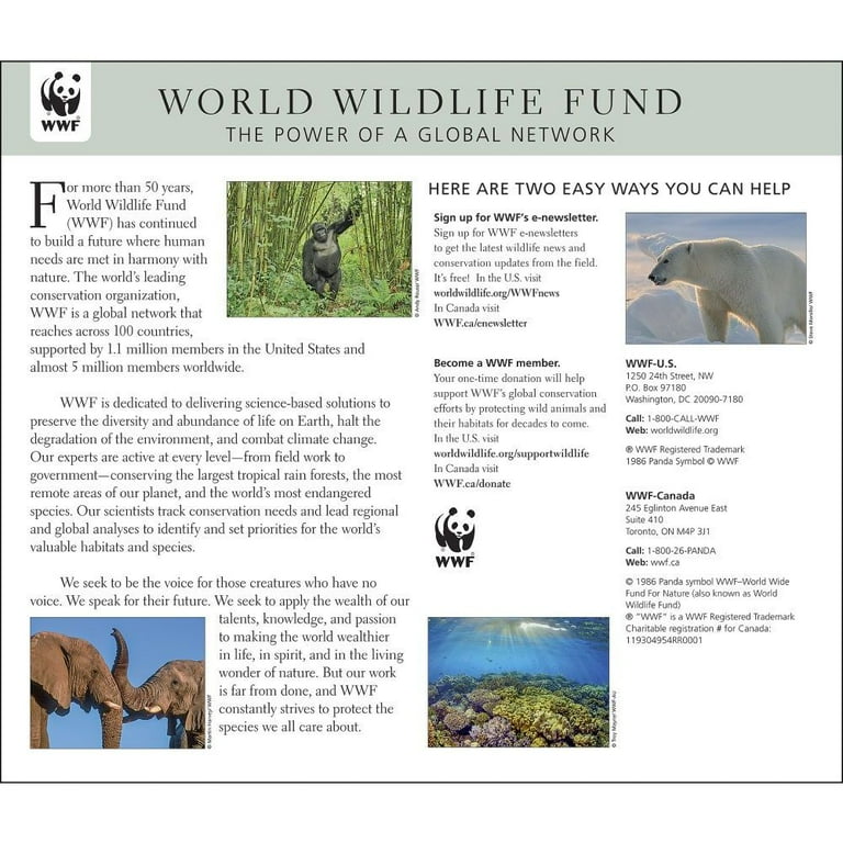 Tigers WWF 2022 Wall Calendar (Other) - Walmart.com
