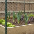 thumbnail image 4 of Garden Craft 150 ft x 72 in Poultry Netting with Rust Resistant, 4 of 7
