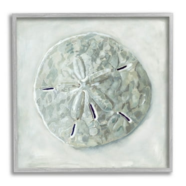 Stupell Industries Sand Dollar Seashell Painting Gray Framed Art Print Wall Art, Design by Erica Christopher