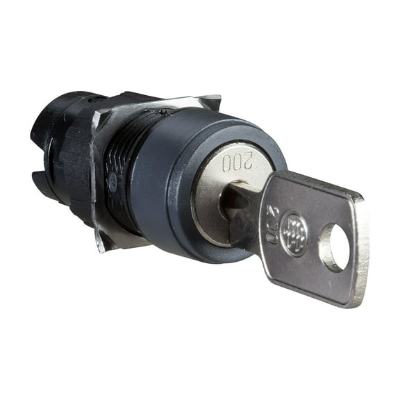 Schneider Electric ZB6AGS Harmony Key Selector Switch Head