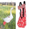 thumbnail image 3 of Washable and portable poultry diapers for geese, ducks, chickens, pigeons (red, M), 3 of 4