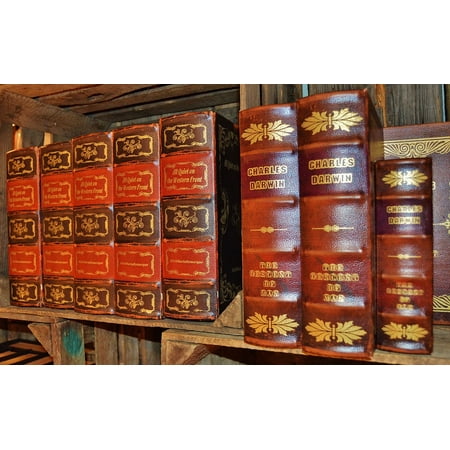 14 Mm Spine - Canvas Print Box Books Spine Old Antiquariat Leather Covers Stretched Canvas 10 x 14