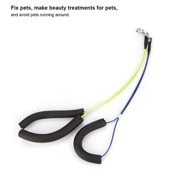 Dog grooming leash hotsell