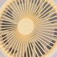 thumbnail image 4 of M Buder Ventilador de Techo con Luz LED 25.9 cm / 10.2 inches 30W E27 Control Remoto 3 Velocidades 3 Colores Silencioso Amarillo Moderno, 4 of 9