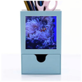 thumbnail image 1 of Ocean Anemone Fish coral Science Nature Picture Tarjeta de clip de pluma del gestor de suministros de oficina, 1 of 3